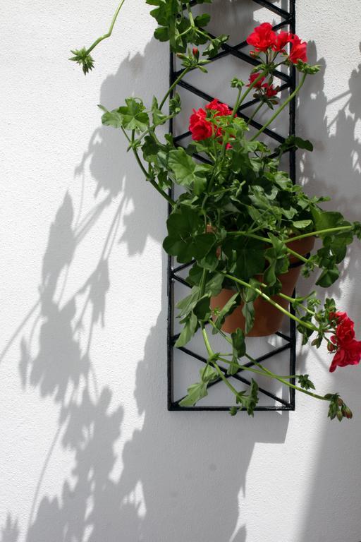 Apartamentos San Fernando 76 Cordoba Dış mekan fotoğraf