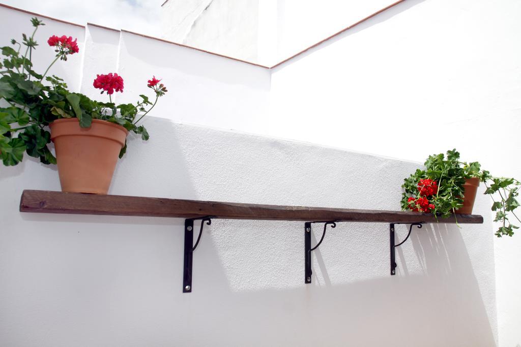 Apartamentos San Fernando 76 Cordoba Dış mekan fotoğraf