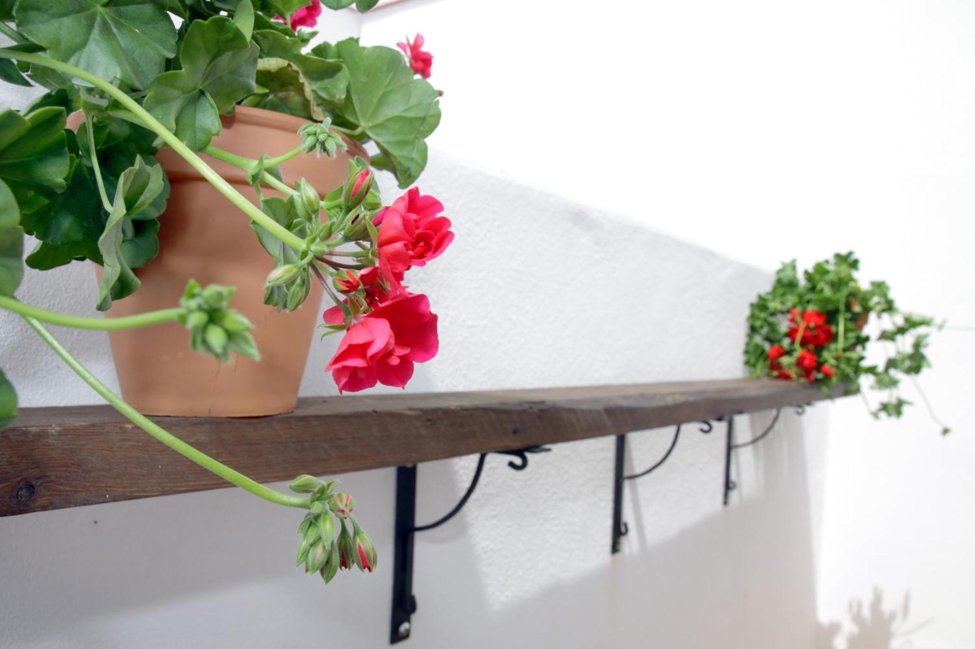 Apartamentos San Fernando 76 Cordoba Dış mekan fotoğraf